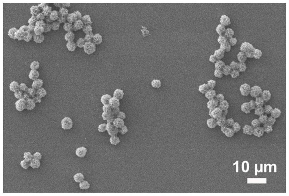 Protein-inorganic nanoflower with controllable protein distribution and size as well as preparation method and application of protein-inorganic nanoflower