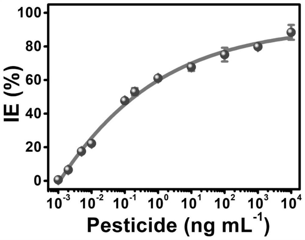 Protein-inorganic nanoflower with controllable protein distribution and size as well as preparation method and application of protein-inorganic nanoflower