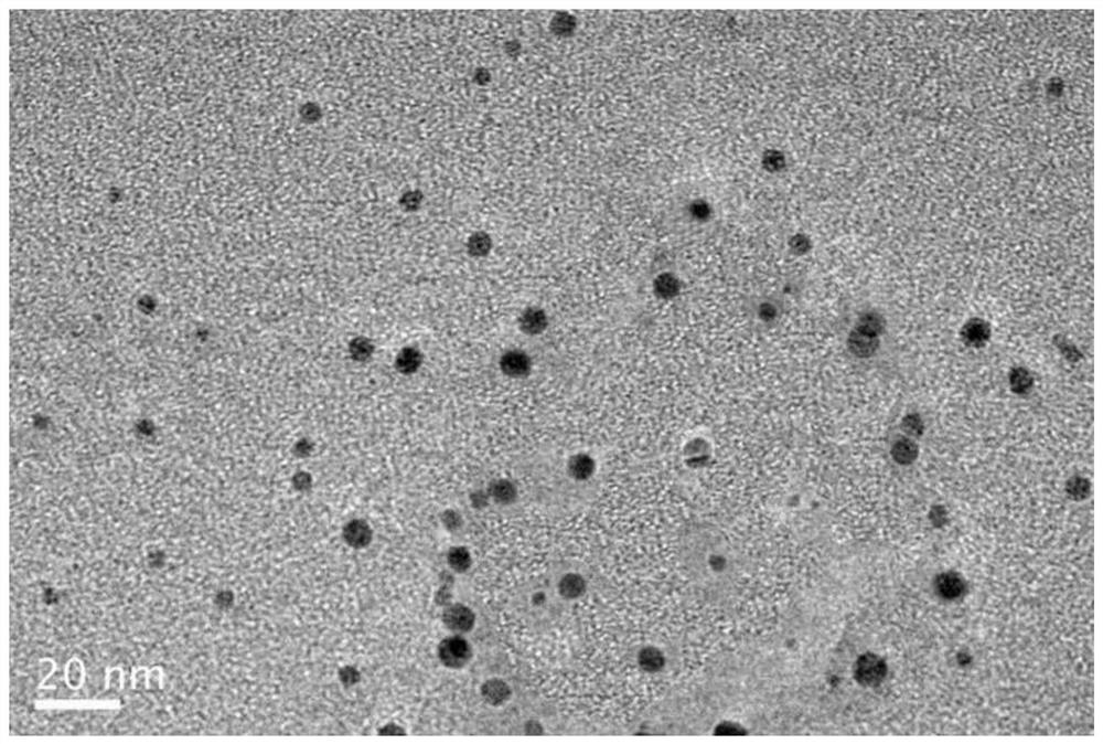 Molybdenum disulfide quantum dot-chiral gold nano particle assembly as well as preparation method and application thereof