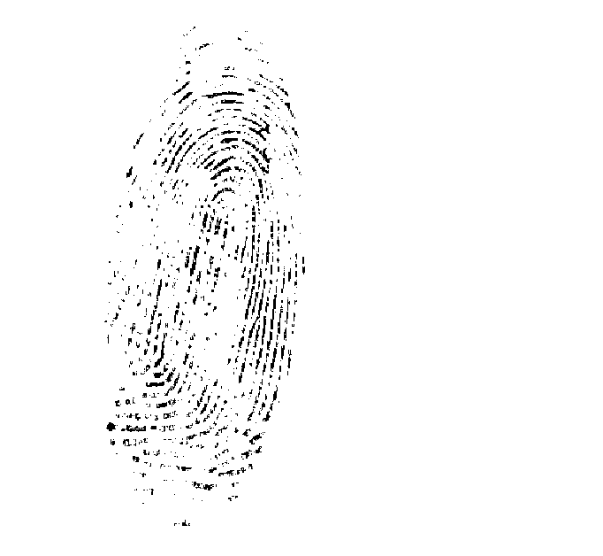 Silica gel composite membrane for collecting biological texture image, preparation method and purpose thereof