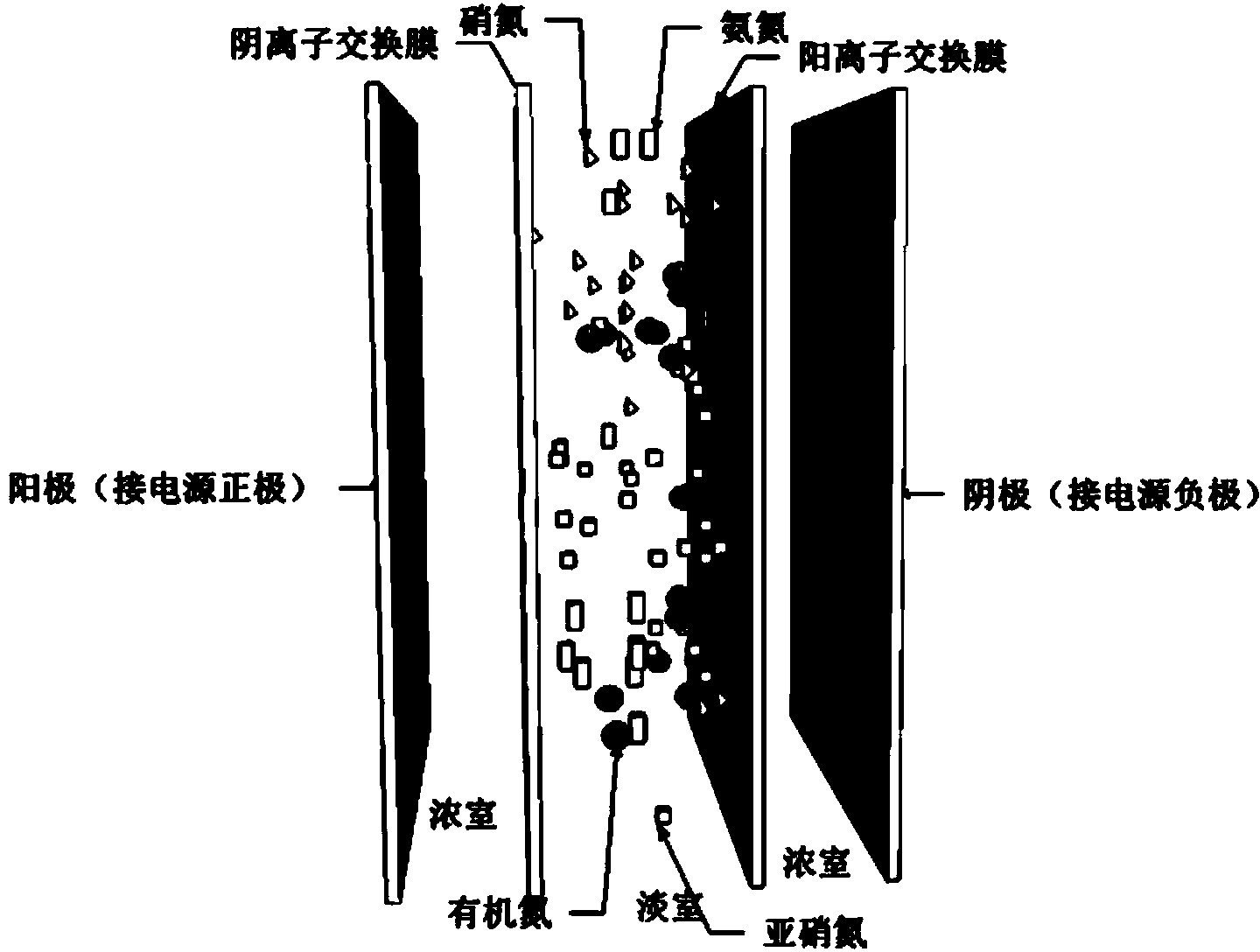 Method for directly measuring concentration of DON (Dissolved Organic Nitrogen) in water body based on electrodialysis pretreatment manner