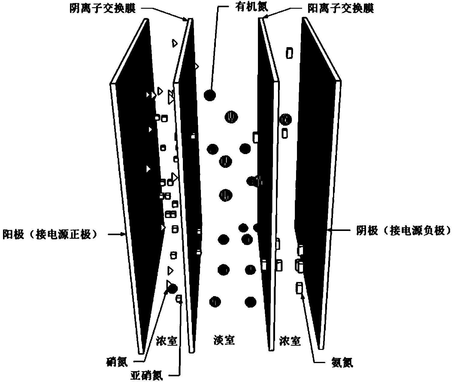 Method for directly measuring concentration of DON (Dissolved Organic Nitrogen) in water body based on electrodialysis pretreatment manner