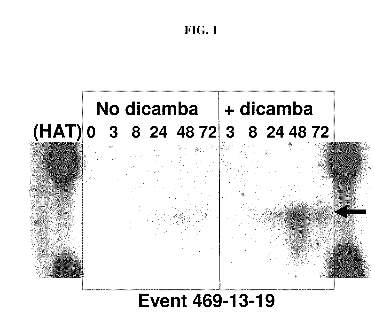 Methods and compositions for improving plant health