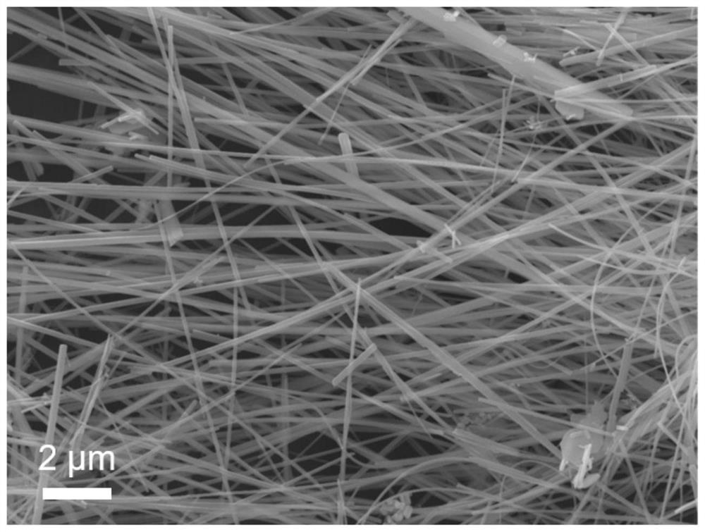 Sulfur-vacancy-rich bismuth sulfide nanowires, preparation method and application thereof