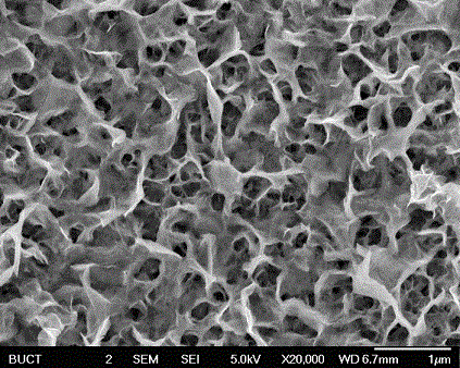 MoS2/In2S3 composite catalyst serving as photoelectrocatalytic dehydrogenation material and preparation method of MoS2/In2S3 composite catalyst