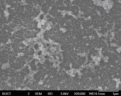 MoS2/In2S3 composite catalyst serving as photoelectrocatalytic dehydrogenation material and preparation method of MoS2/In2S3 composite catalyst