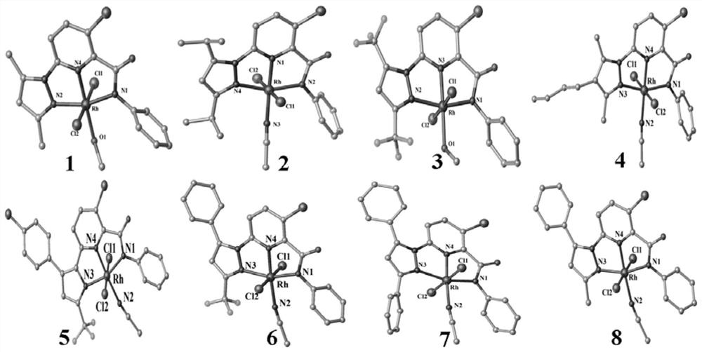 Picolinamide rhodium complex as well as synthesis method and application thereof
