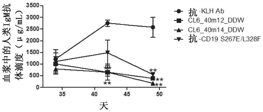 Novel anti-human igβ antibody