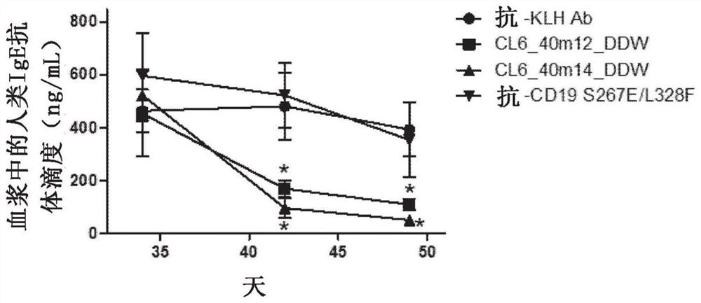 Novel anti-human igβ antibody