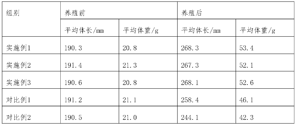 Culture method for promoting eel growth