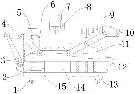 Sea cucumber washing conveyer