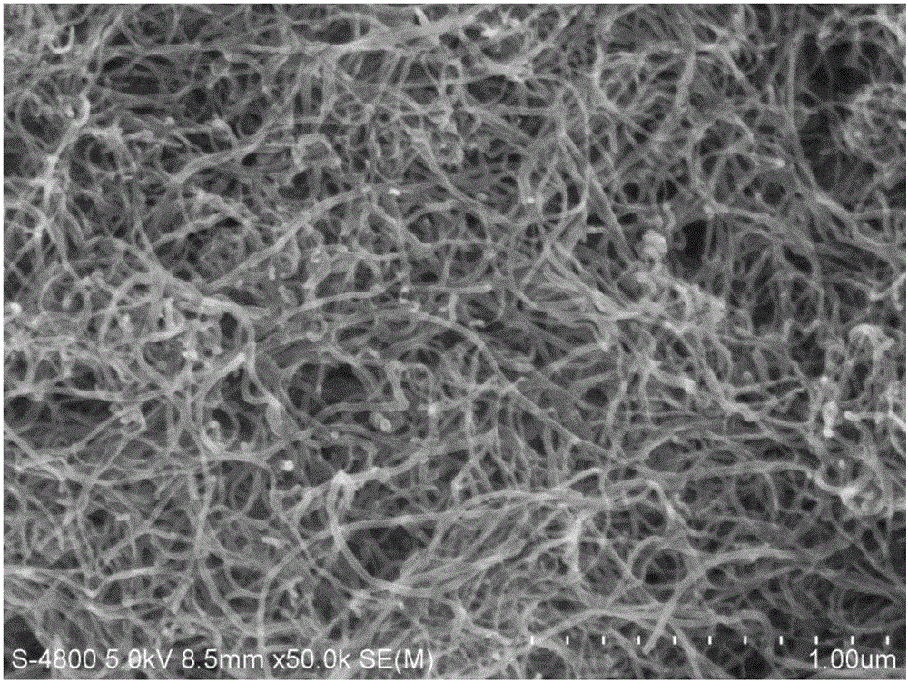 Carbon nanotube modified thermoplastic resin and preparation method thereof