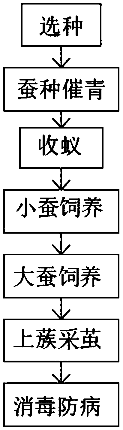 Method for raising silkworms