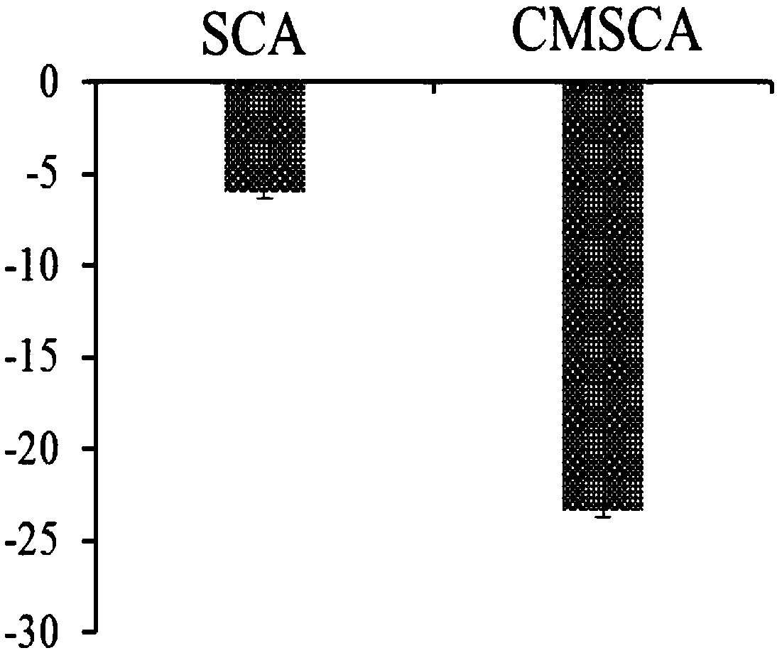 Preparation method and application of modified short-straight-chain starch