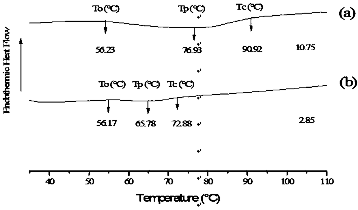 Preparation method and application of modified short-straight-chain starch