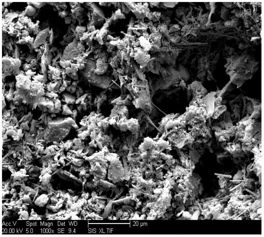 Novel non-sintered biological stuffing rapid in biofilm formation and preparation method thereof