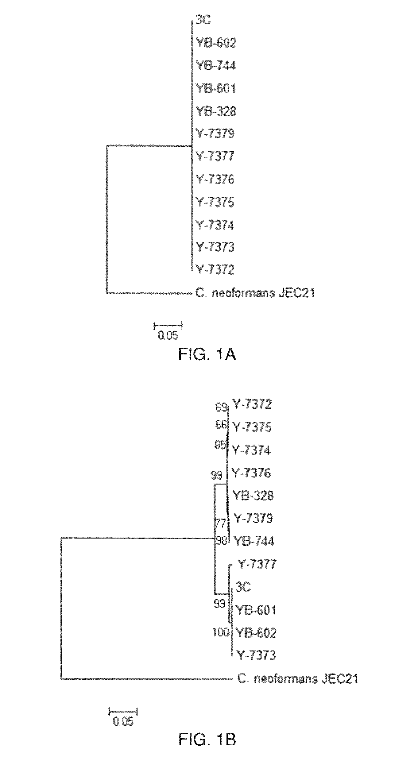 Methods for Using Cryptococcus Flavescens Strains for Biological Control of Fusarium Head Blight