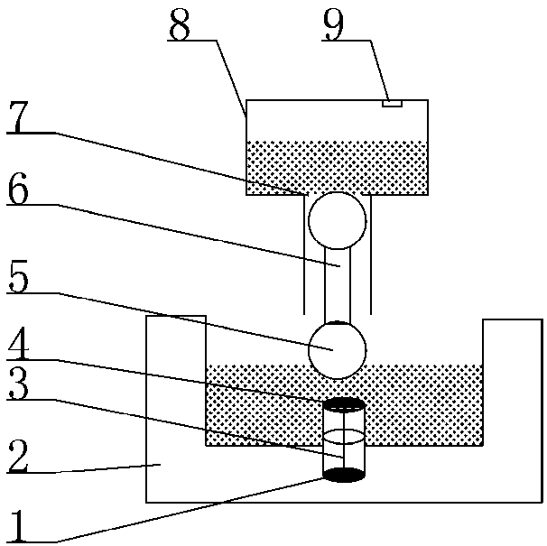 Water drinking device for animal