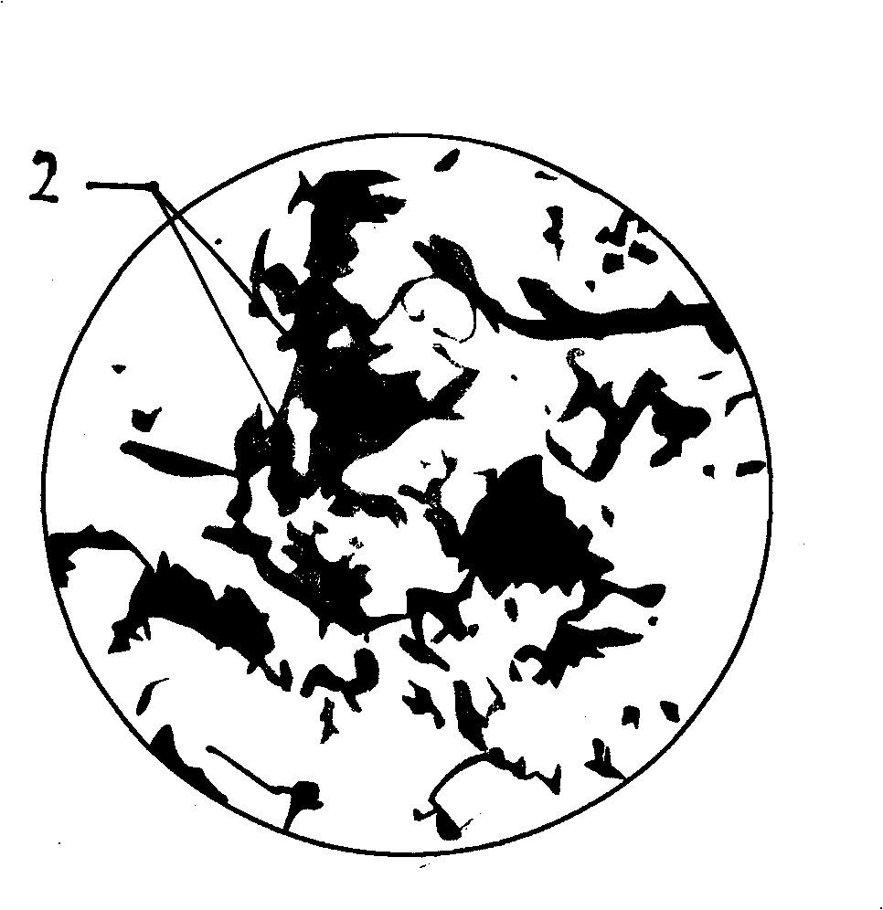 Thermoset plastics infiltration strengthened powdery plant fiber material and preparation method thereof