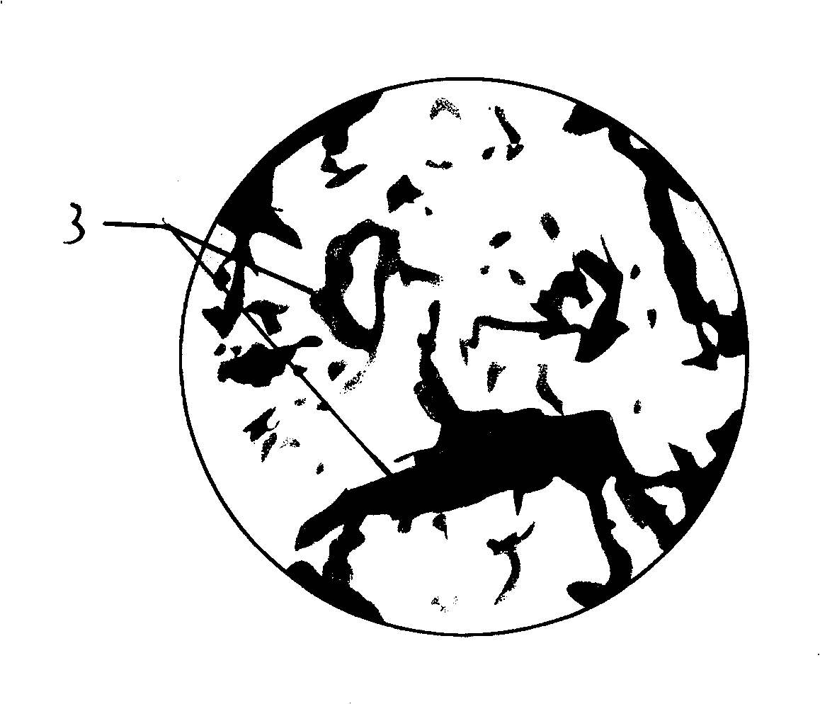 Thermoset plastics infiltration strengthened powdery plant fiber material and preparation method thereof