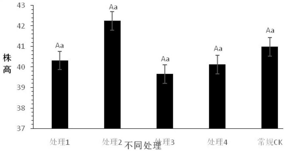 Verticillium wilt preventing and treating method for promoting growth and development of eggplants