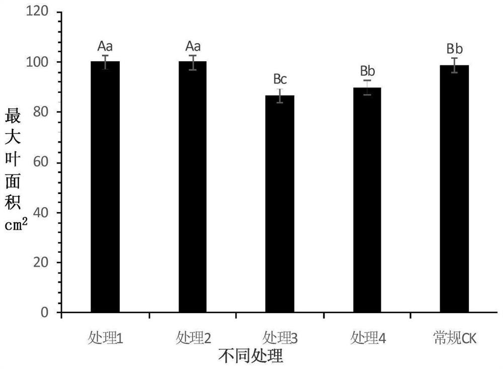 Verticillium wilt preventing and treating method for promoting growth and development of eggplants