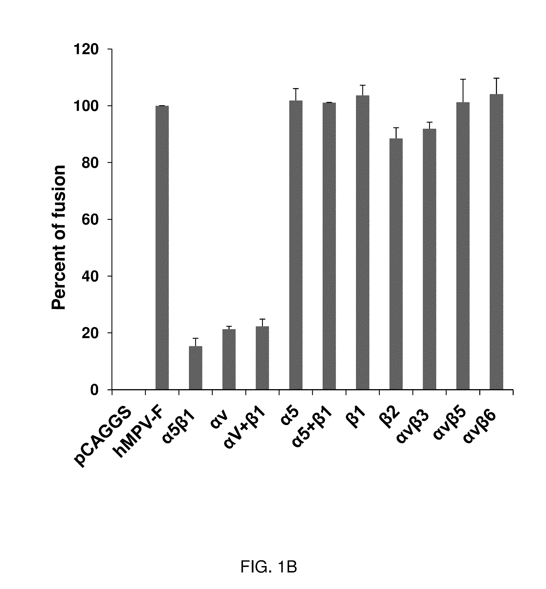 Metapneumovirus Immunogens and Related Materials and Methods