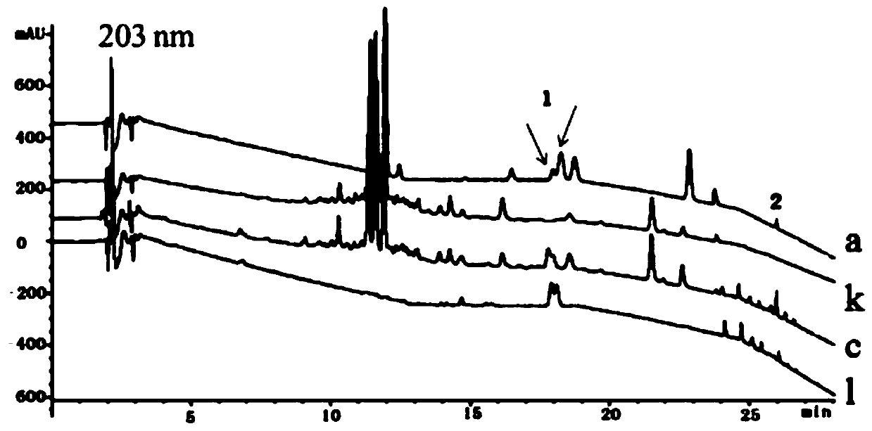 Method for simultaneously detecting multiple index components in vigor-preserving decoction preparation