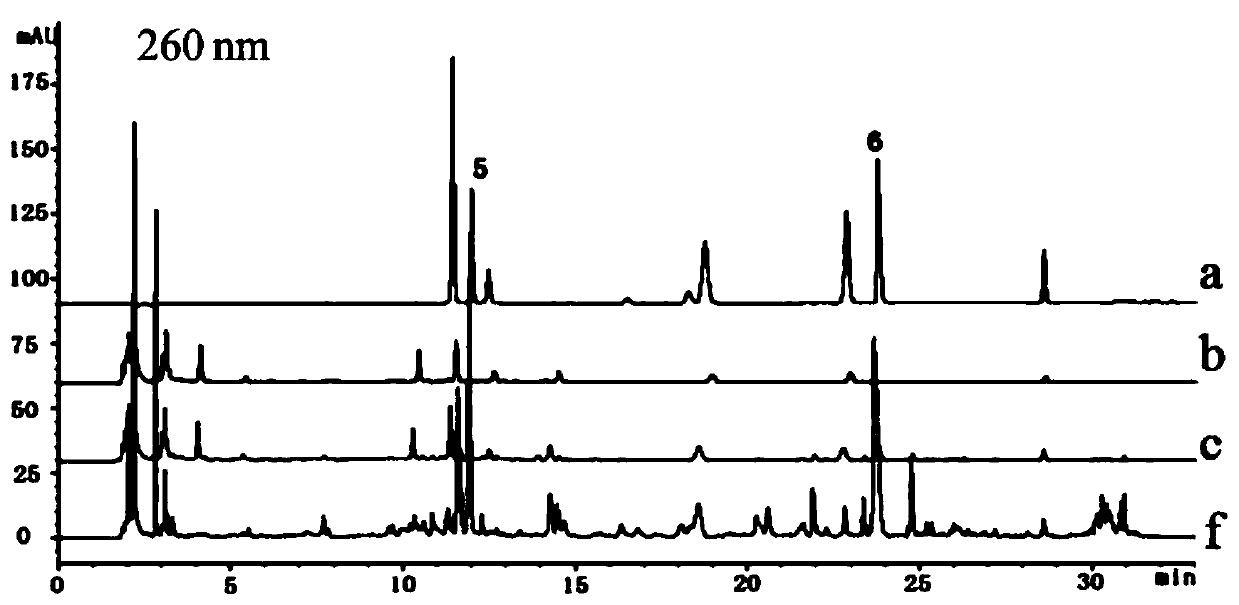 Method for simultaneously detecting multiple index components in vigor-preserving decoction preparation