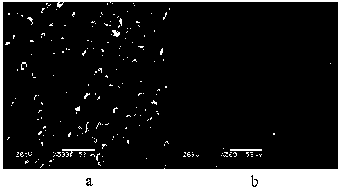 Method for preparing starch films for inhibiting post-harvest fungi