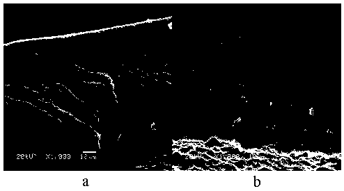 Method for preparing starch films for inhibiting post-harvest fungi