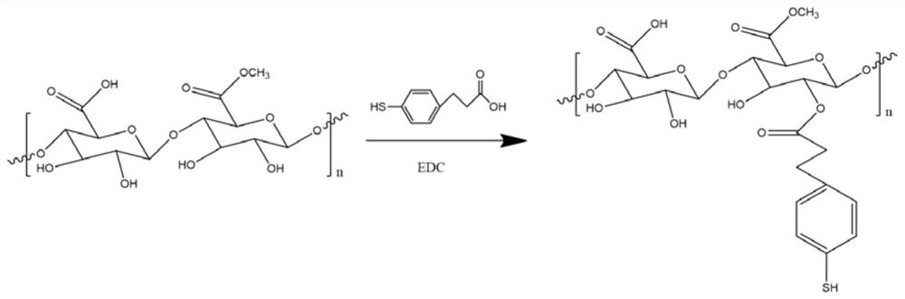 PH responsive drug-loaded nanoparticle