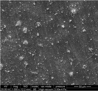 Treatment solution for preparing molybdenum-cerium composite conversion membrane on surface of magnesium alloy, and treatment method thereof