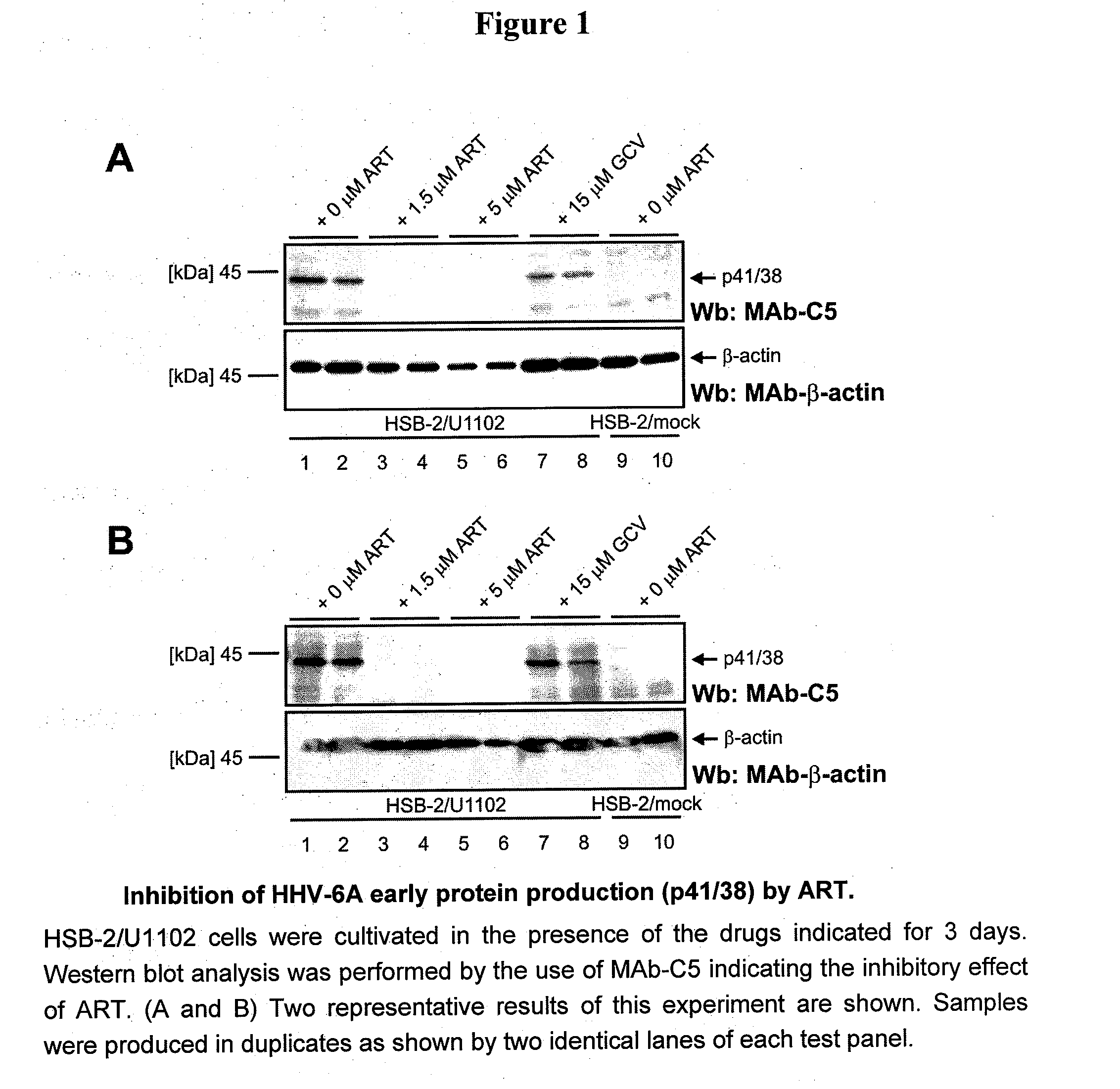 Artemisinin and derivatives thereof as antivirals