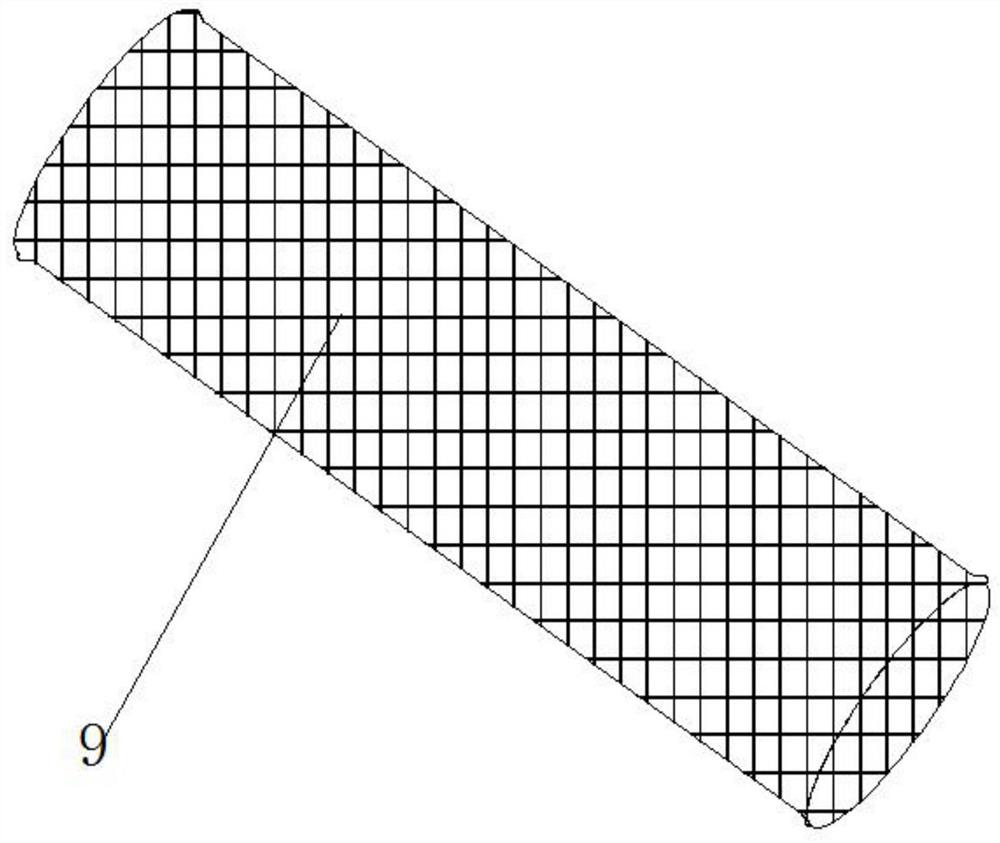 Internal carotid artery integrated release umbrella protection stent