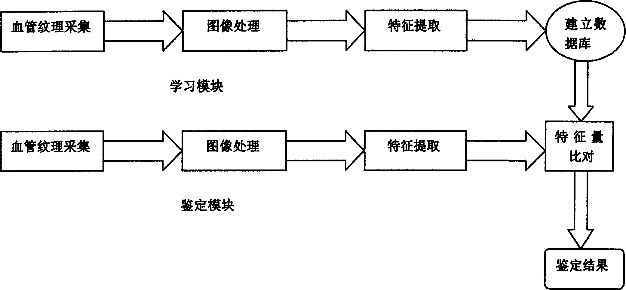 Blood vessel identifying method and device