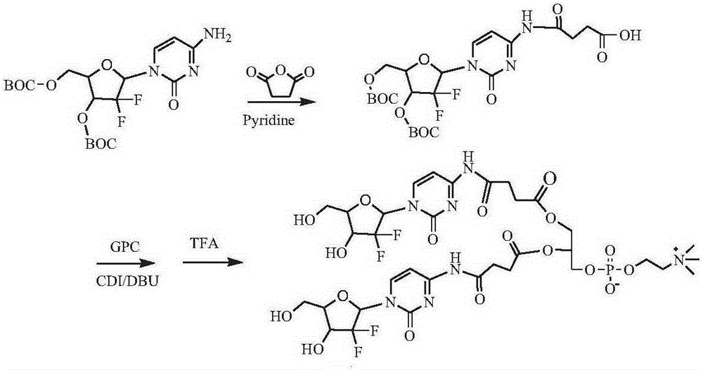 Phospholipid compound of hydrophilic drugs as well as pharmaceutical composition and application of phospholipid compound