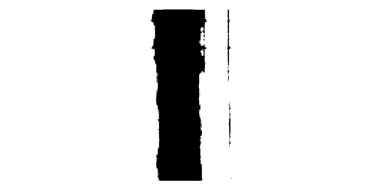 Optical racemization and slit scanning integrated device based on solar telescope grating spectrometer