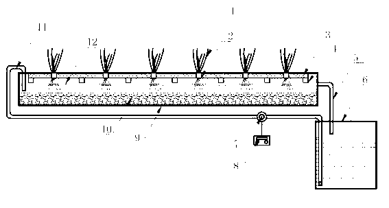 Device for purifying aquaculture waste water