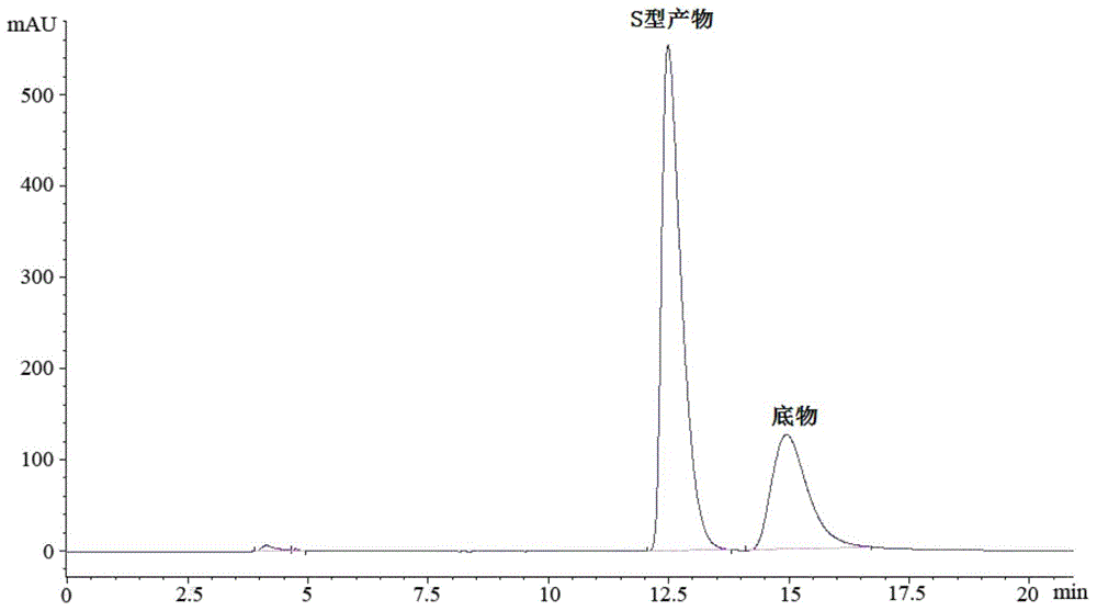 Rhizopus microsporus root-shaped variant ZJPH1308 and application thereof in preparation of sitagliptin intermediate