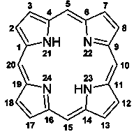 Application of porphyrin pigment serving as immunologic adjuvant and vaccine