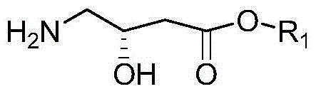 Preparation method for (S)-oxiracetam