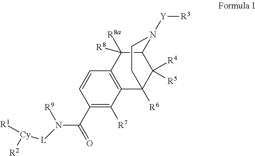 Carboxamide bioisosteres of opiates