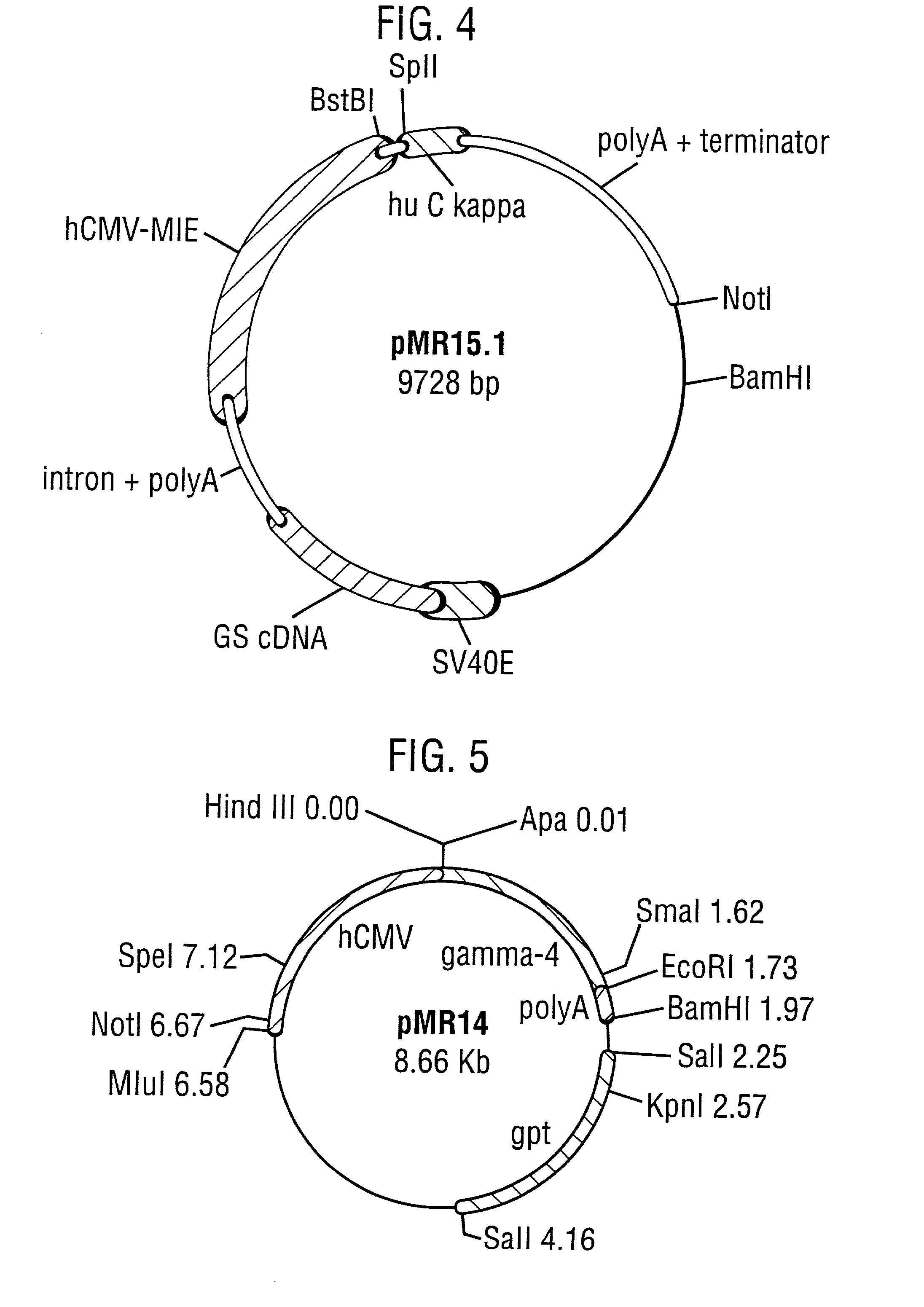 Production of humanised antibodies to TNFalpha