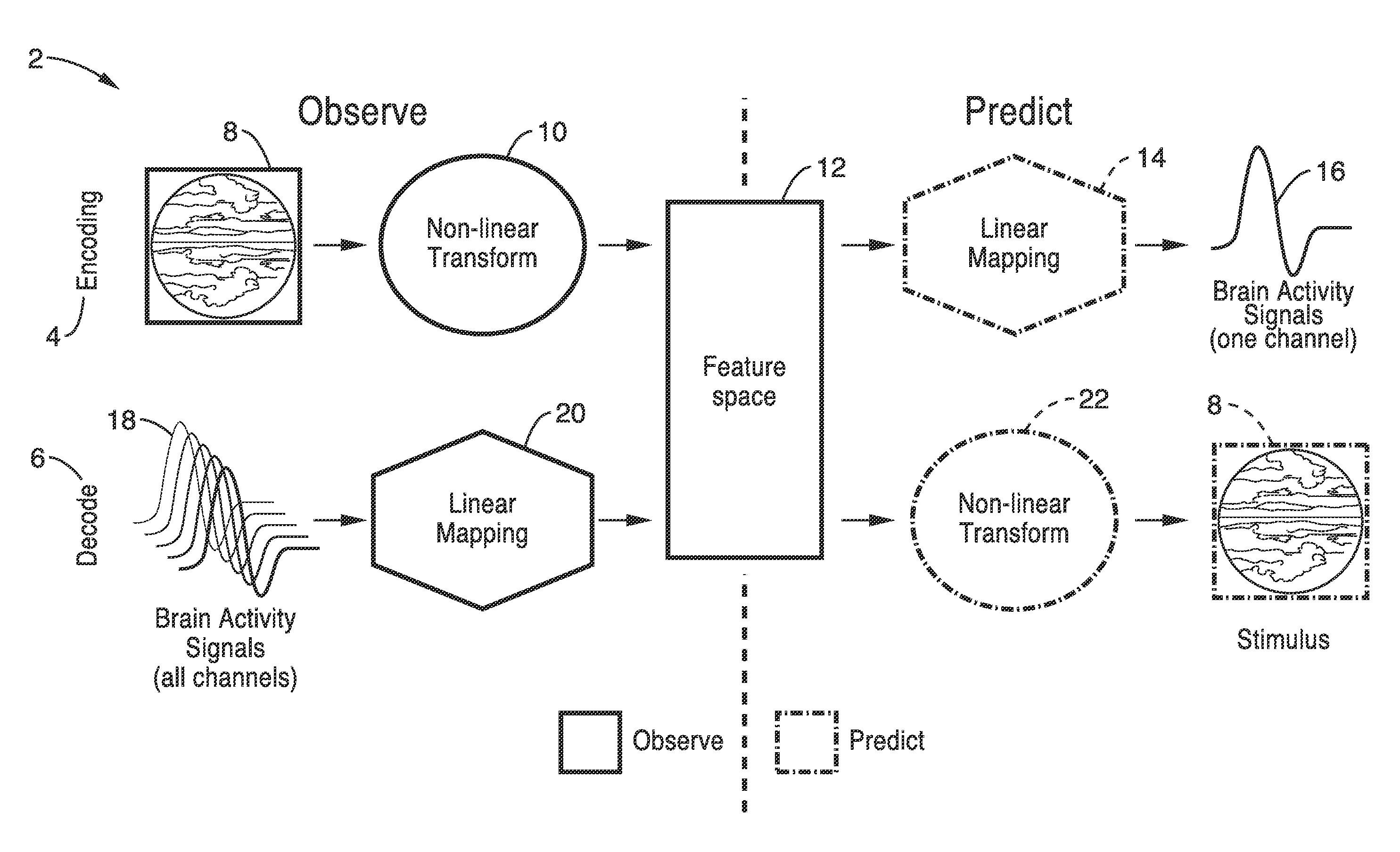 Apparatus and method for decoding sensory and cognitive information from brain activity