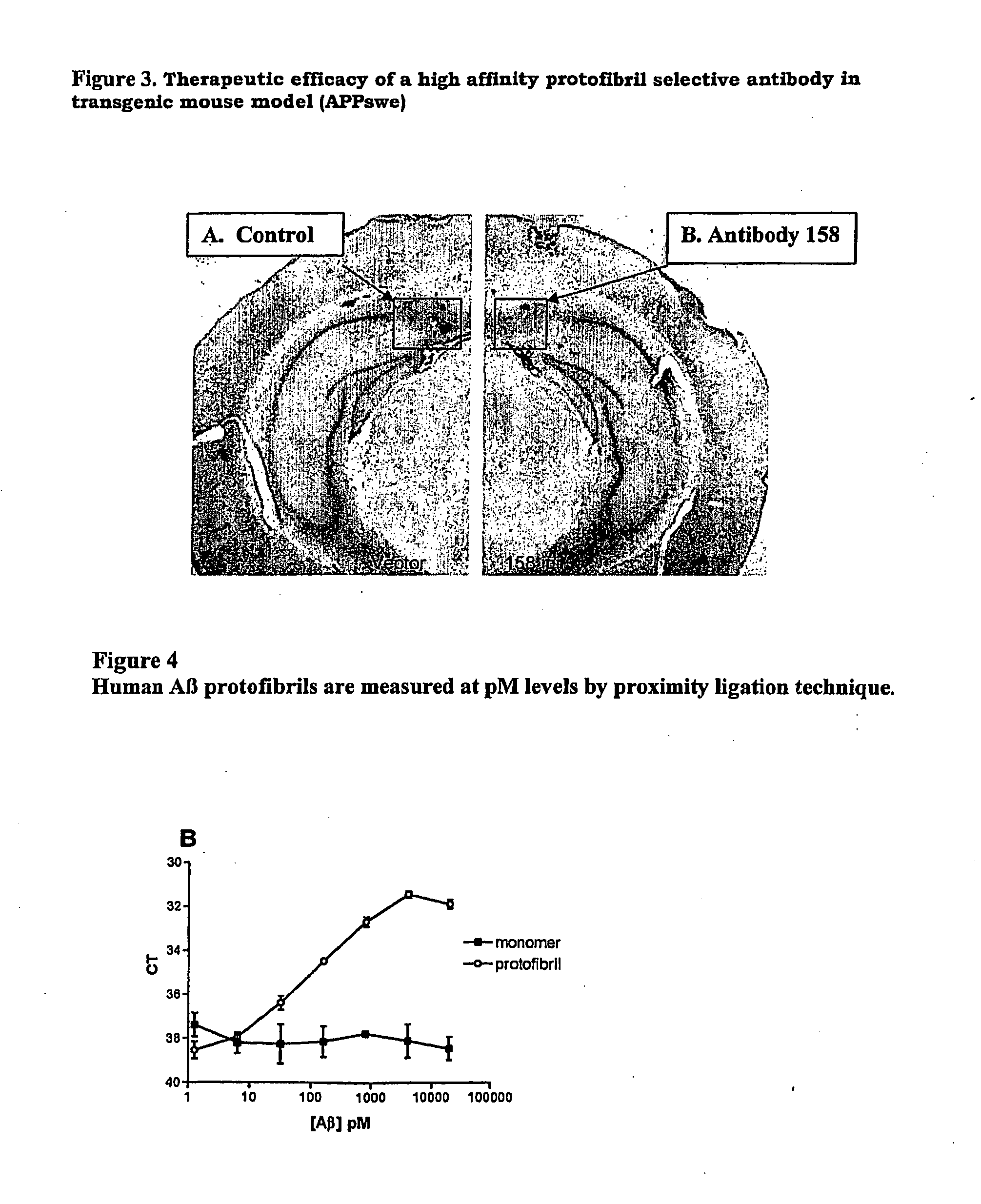 Protofibril selective antibodies and the use thereof