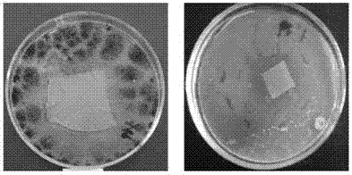 Cellulose-based guanidine salt bacteriostatic functional material and preparation method thereof