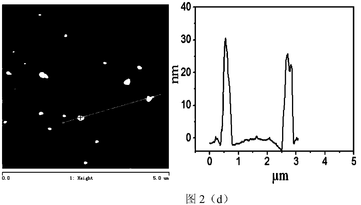 Preparation method of magnetic graphene oxide-protamine/sodium carboxymethyl cellulose composite and application