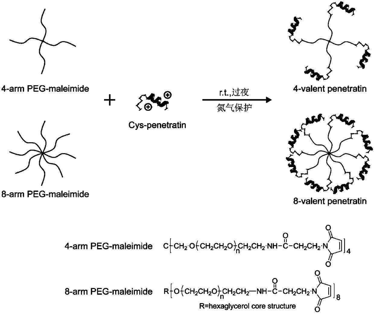 Multivalent cell-penetrating peptide biological macromolecule delivery vector and application thereof