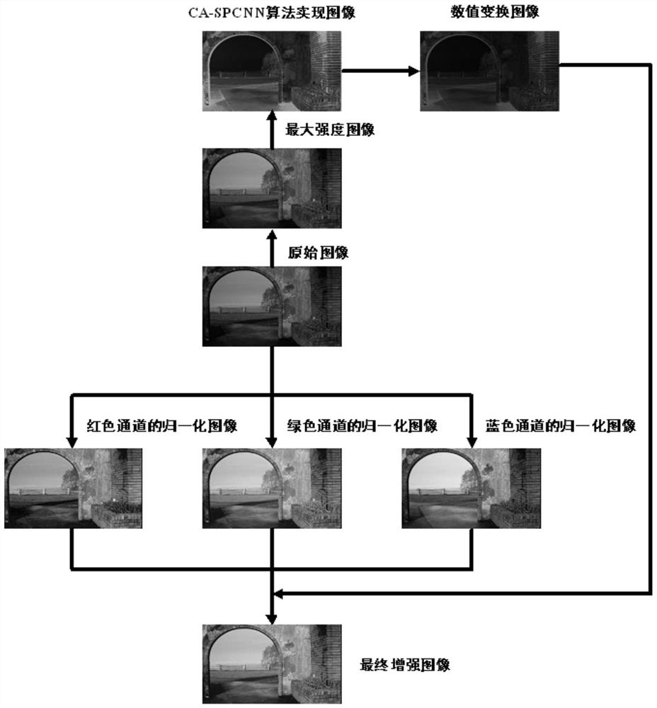 An Image Enhancement Algorithm Based on ca-spcnn